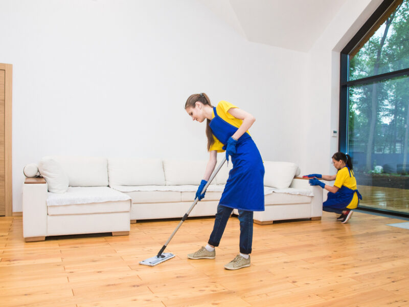 Regular Cleaning